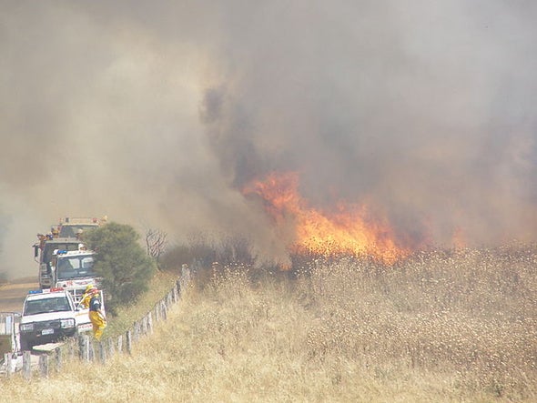 Misguided Wildfire Strategy Should Change