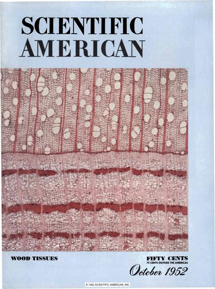 Scientific American Magazine Vol 187 Issue 4