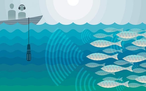 This Fish Emits Damaging Decibels