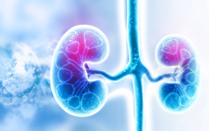 World's First HIV-to-HIV Kidney Transplant with Living Donor Performed Successfully - Scientific American