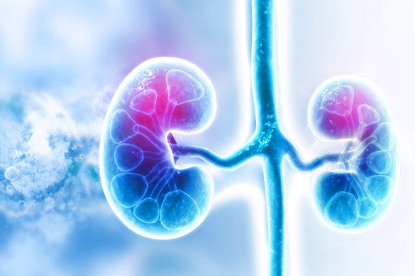 World's First HIV-to-HIV Kidney Transplant with Living Donor Performed Successfully
