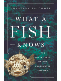 What a Fish Knows: The Inner Lives of Our Underwater Cousins