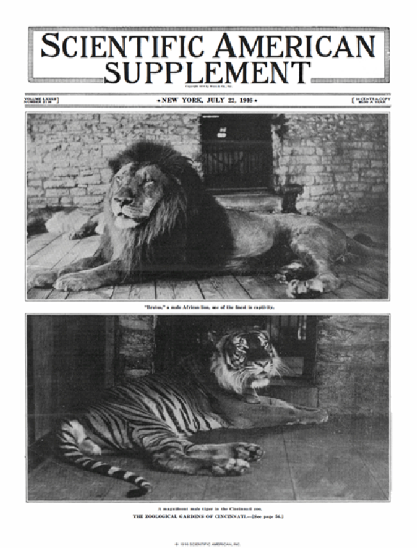 SA Supplements Vol 82 Issue 2116supp
