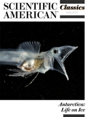 Antarctica: Life on Ice