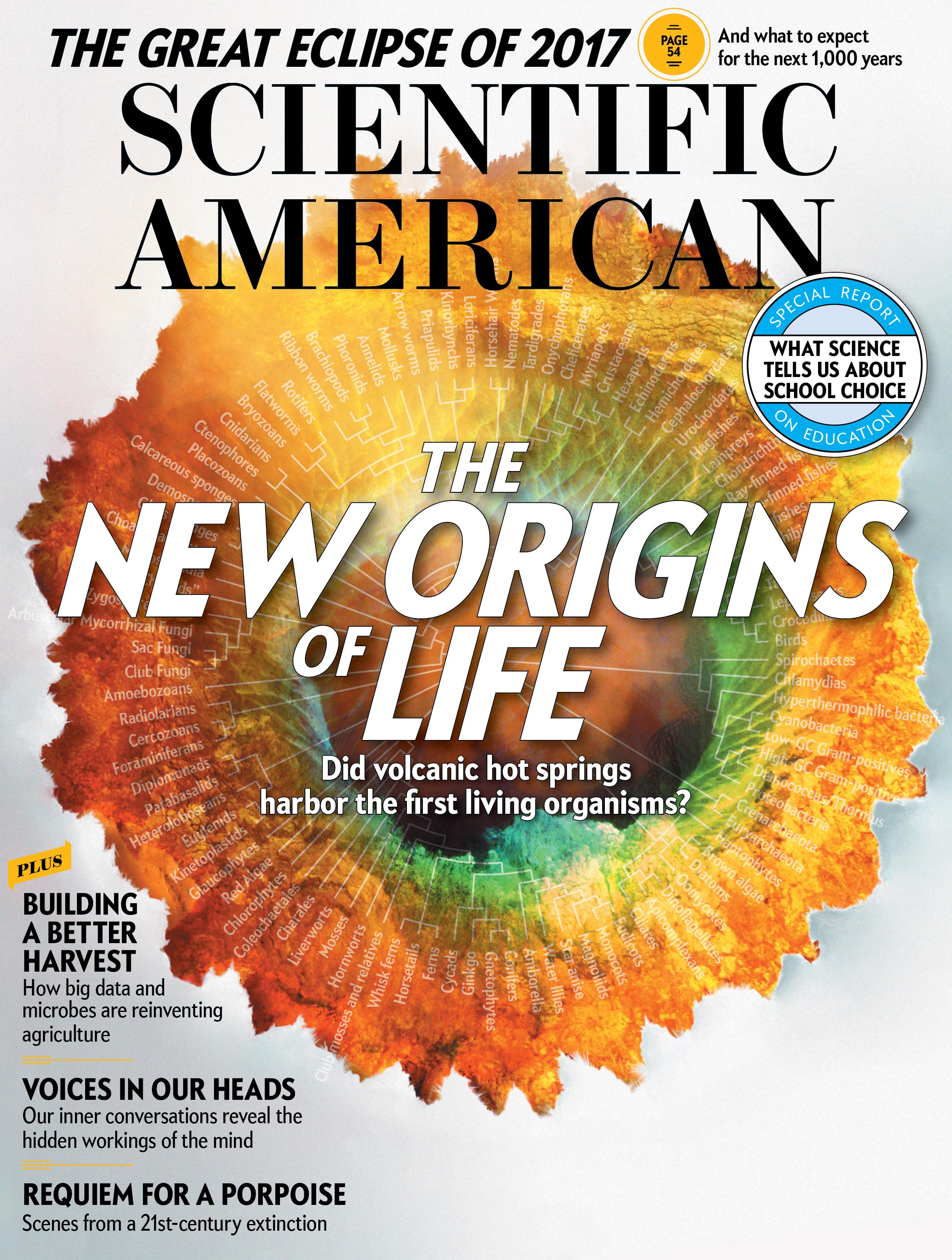 Scientific American Volume 317, Issue 2 | Scientific American