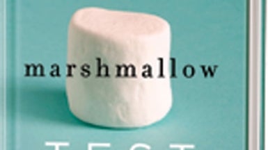 the marshmallow test mastering self control walter mischel the marshmallow test mastering self control walter mischel