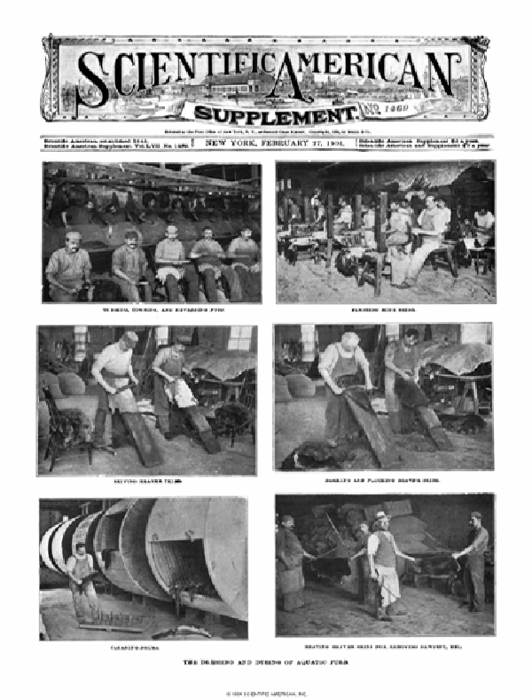 SA Supplements Vol 57 Issue 1469supp