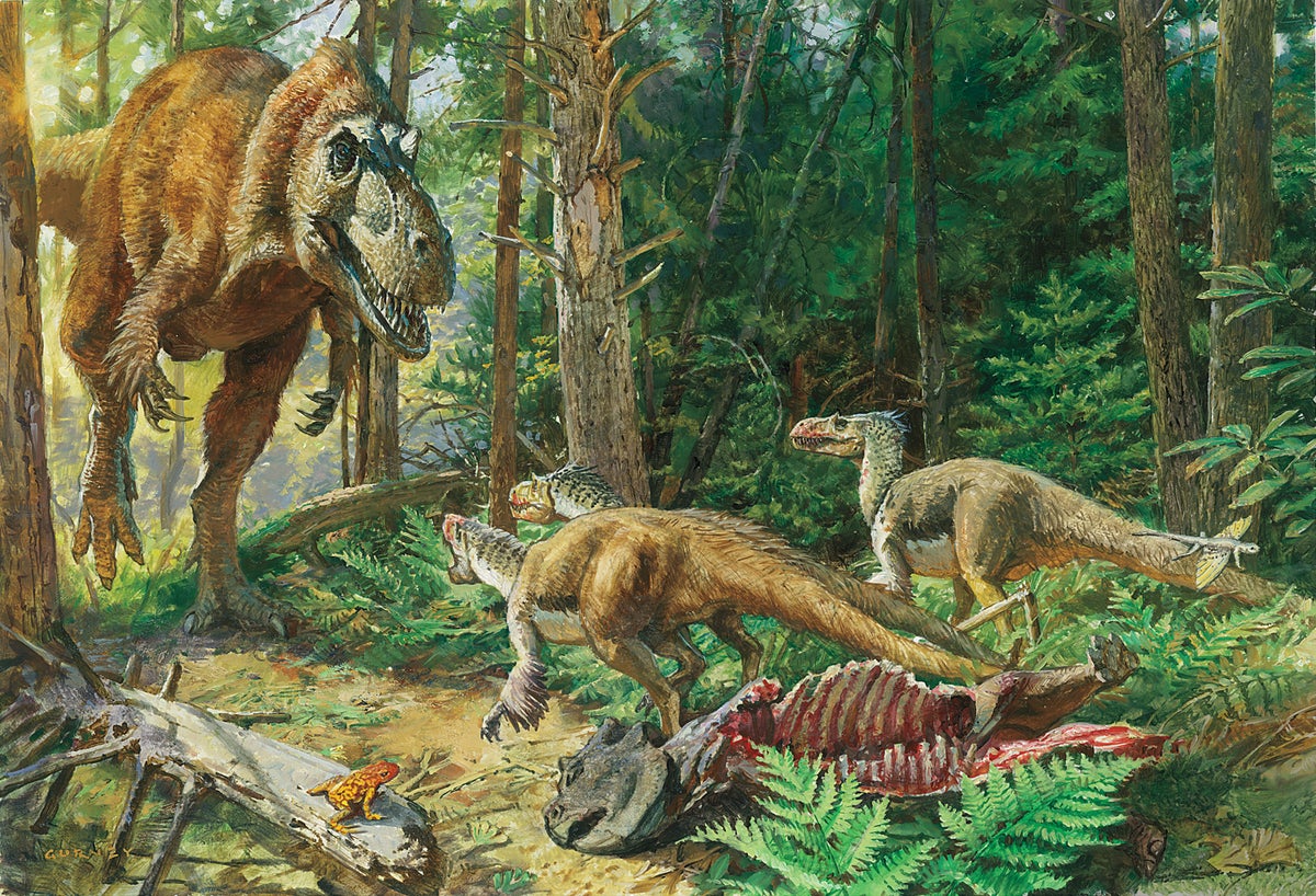 Tiny T. rex fossils may be distinct species – but not everyone agrees