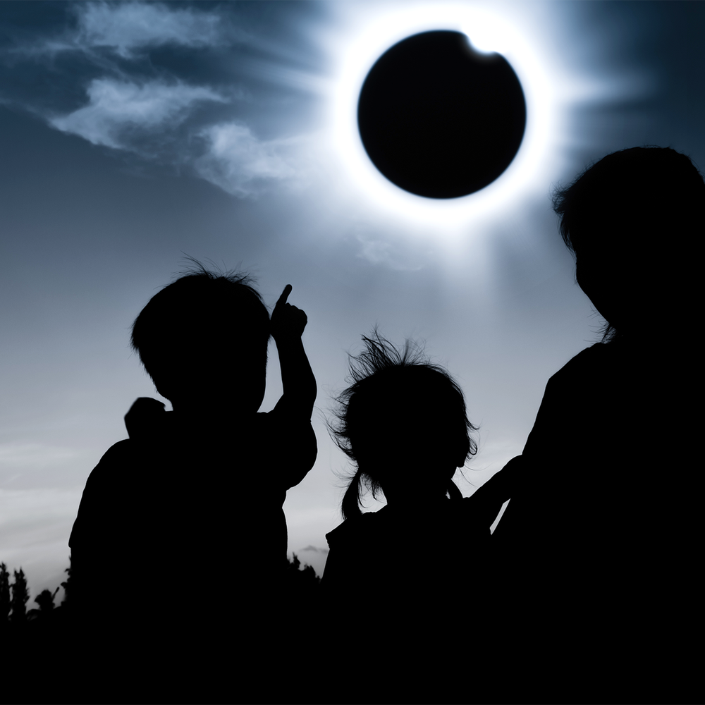 Vase Shape from ICONIC HOME - Design vase, image size:1000x1000