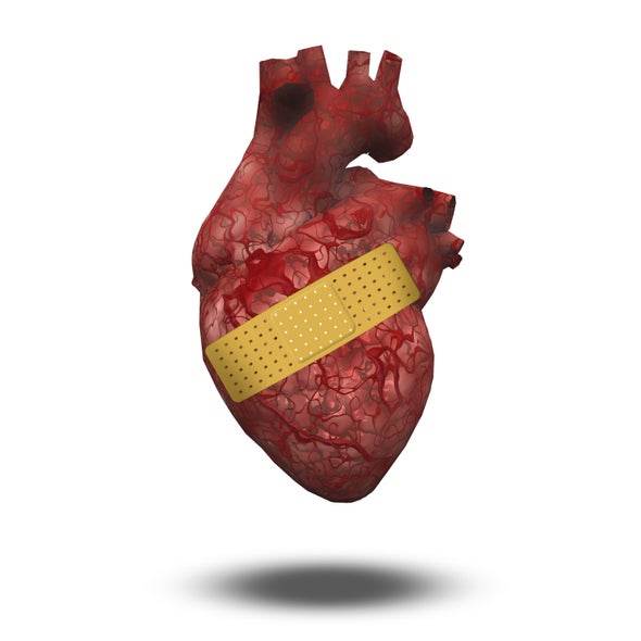 Gene Therapy Shows Promise for Treating Heart Attack Victims