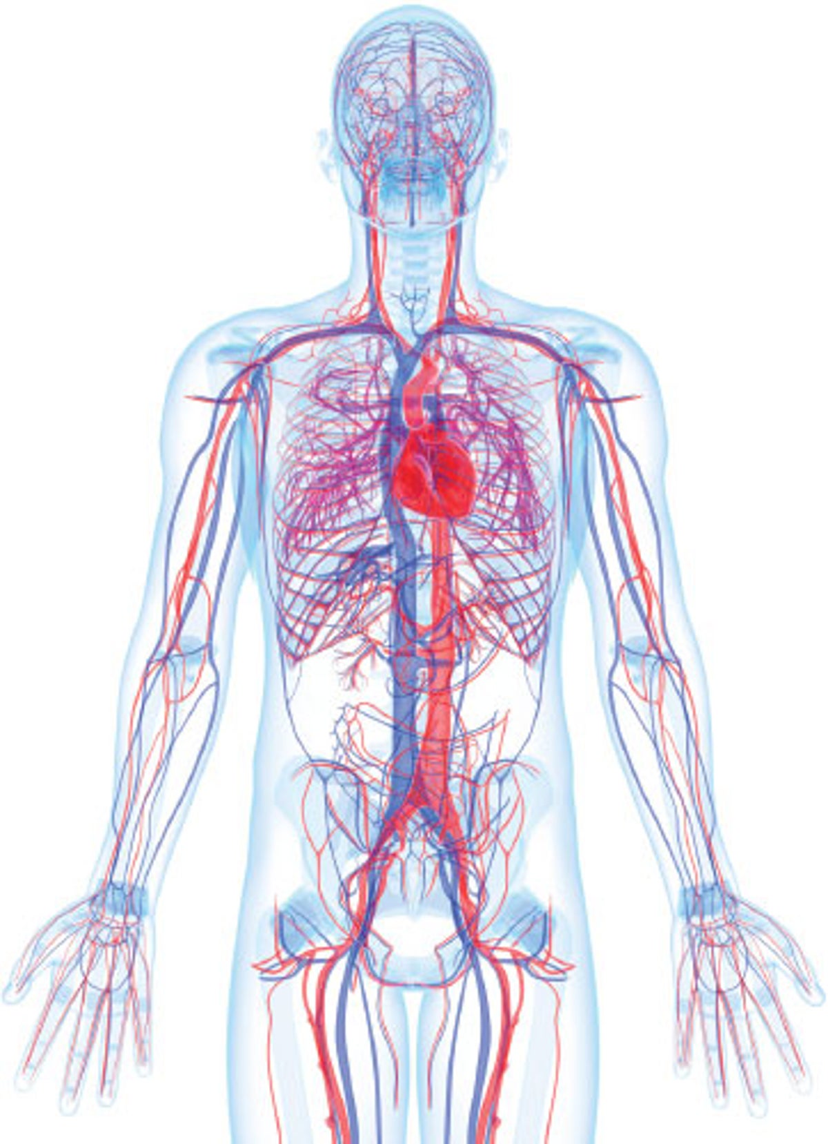 Blood Type Matters for Brain Health | Scientific American