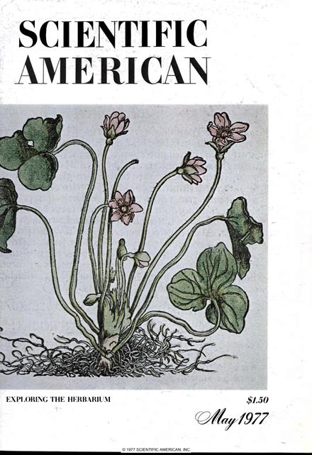 Scientific American Magazine Vol 236 Issue 5