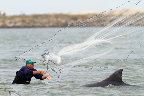 A Famed Dolphin-Human Fishing Partnership Is in Danger of Disappearing