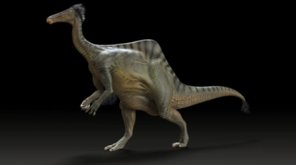 dinosaur with hump on back