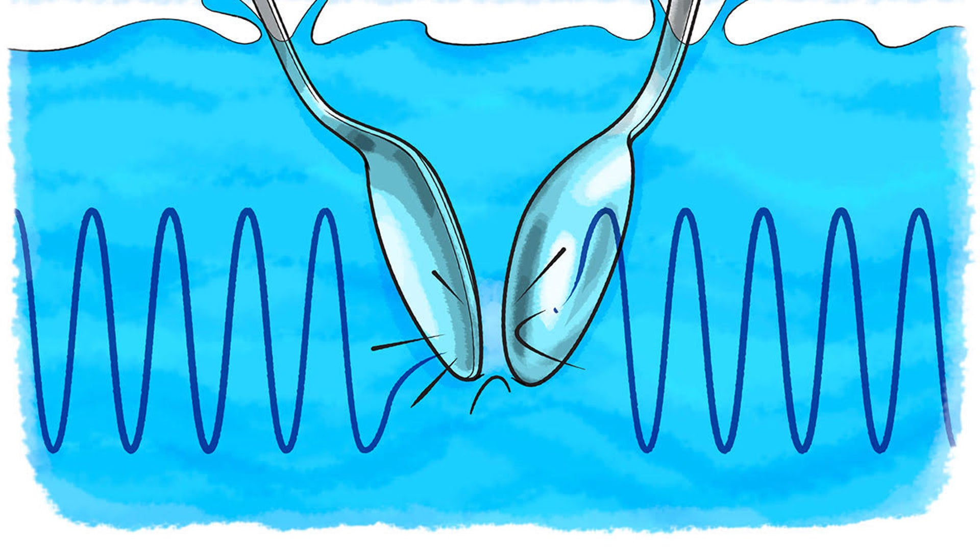 What Do You Hear Underwater? | Scientific American