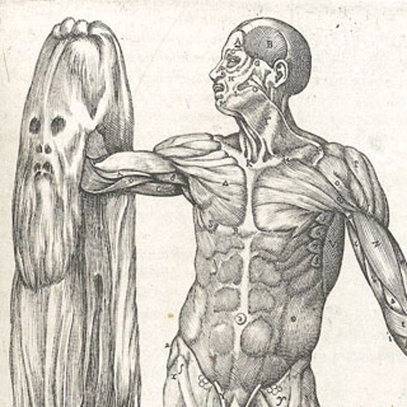 Anatomy Lessons through the Ages