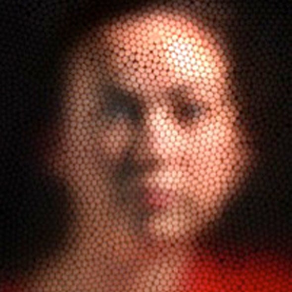 honeybees can recognize individual human faces scientific american