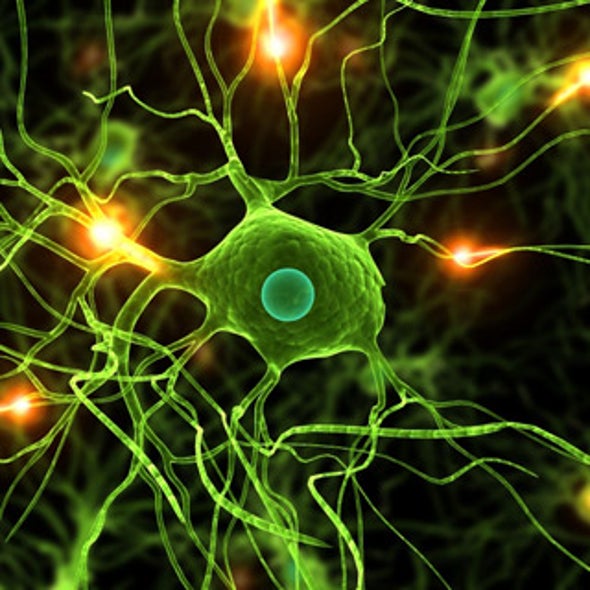 Can Stem Cells Block Stroke Damage? Yes, but in a Surprising Way