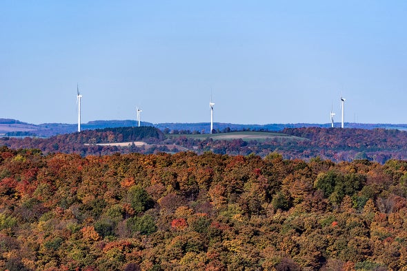 Northeast Strengthens Carbon Goals as Federal Rules Fade