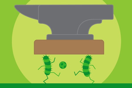 Illustration of microbes resisting pressure of anvil.