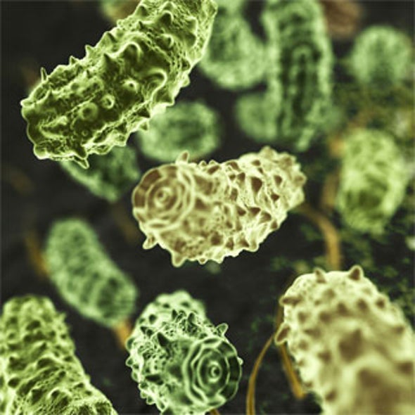 Self-Sterilizing Plastics Kill Drug-Resistant Bacteria