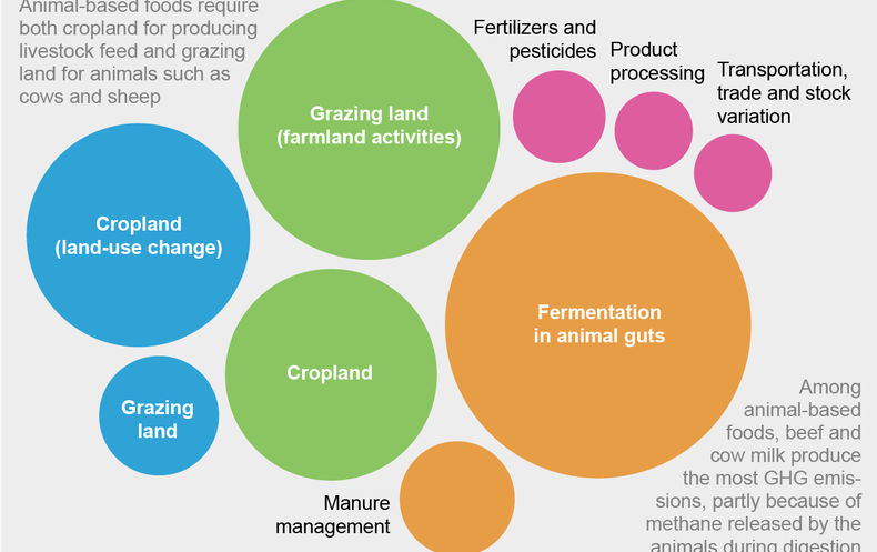 food security climate change case study