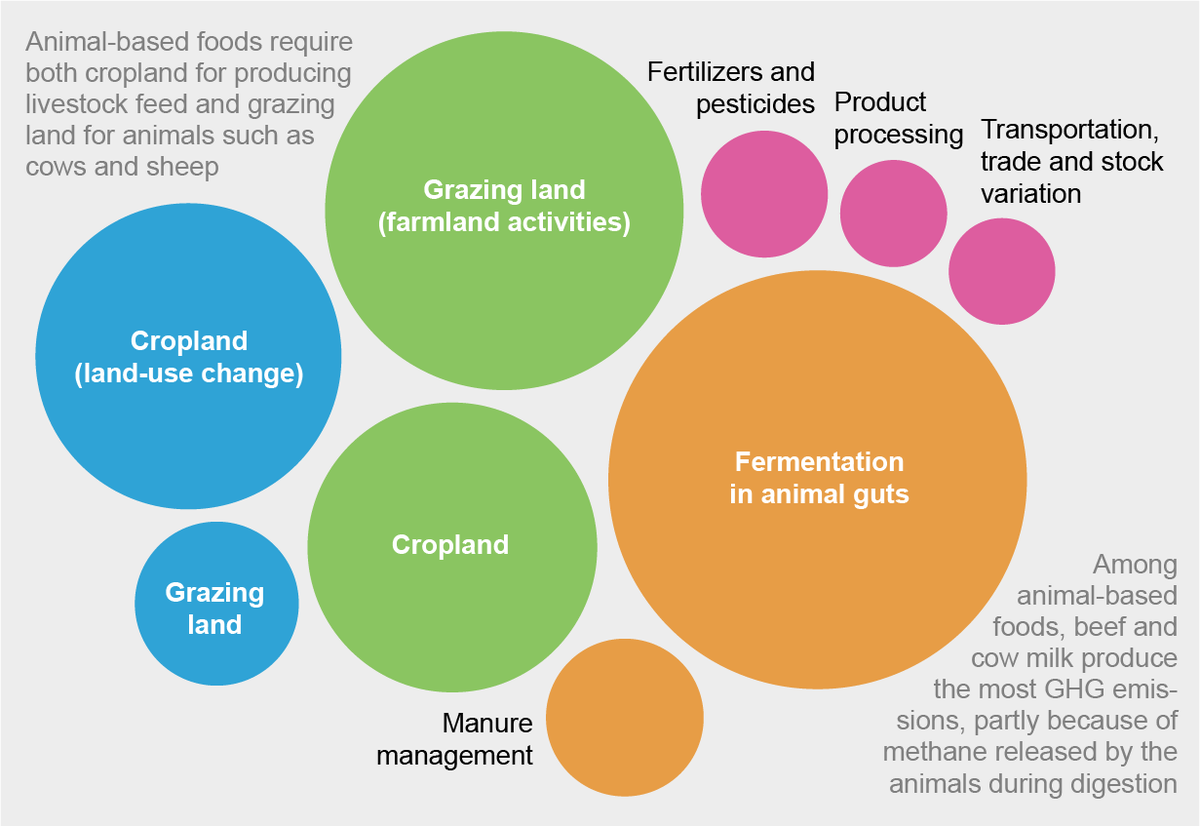 What are greenhouse gas emissions and why companies need to act now