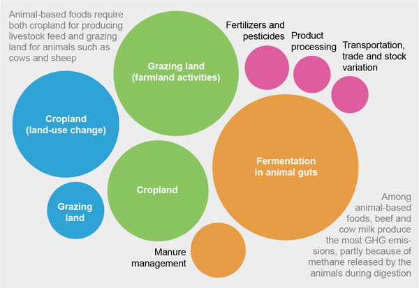 Global Greenhouse Gas Emissions from Animal-Based Foods Are Twice Those of Plant-Based Foods.
