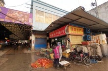 New Studies Support Wuhan Market as Pandemic's Origin Point