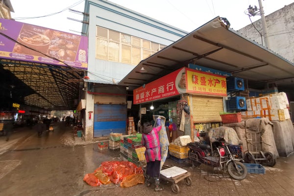 Live food market in China