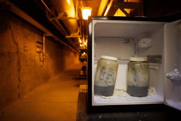 Samples of primary sludge stored in containers are photographed at San José-Santa Clara Regional Wastewater Facility