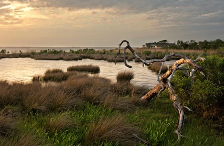 Landscape view of the salt marsh on the shores of Currituck Sound in North Carolina.