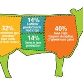 Prime Cuts: How Beef Production Leads to Greenhouse Gases