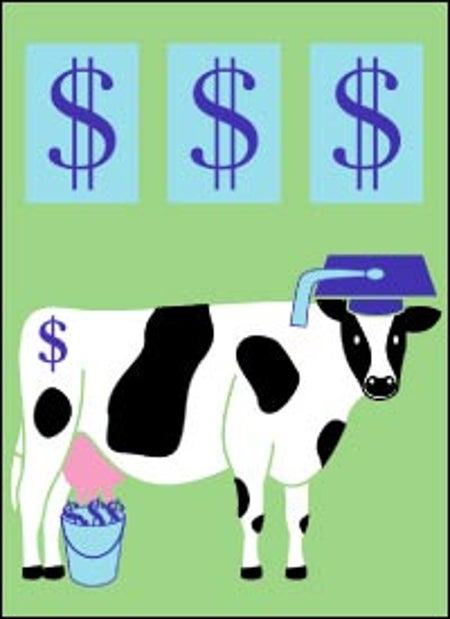 cash cow