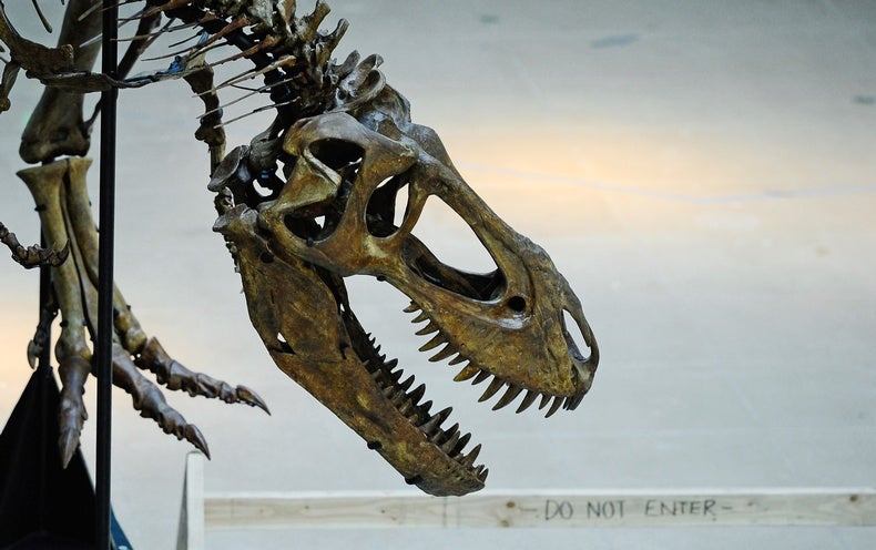 The Real Dino Killer: A One–Two Punch - Scientific American