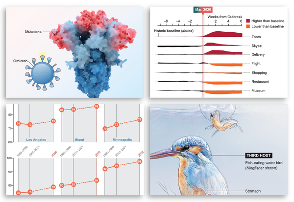 Grid of four images shows graphics about various topics, including COVID, climate change and parasite biology