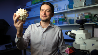 Designer Viruses Could Be the Secret to Cheaper and Better Gene Therapy