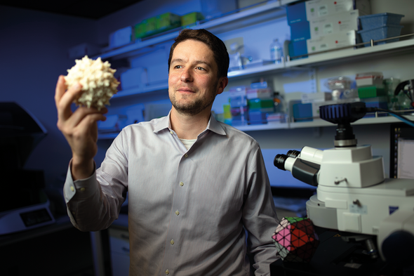 Designer Viruses Could Be the Secret to Cheaper and Better Gene Therapy