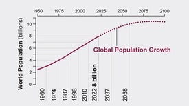 Global Population Growth Is Slowing Down. Here's One Reason Why