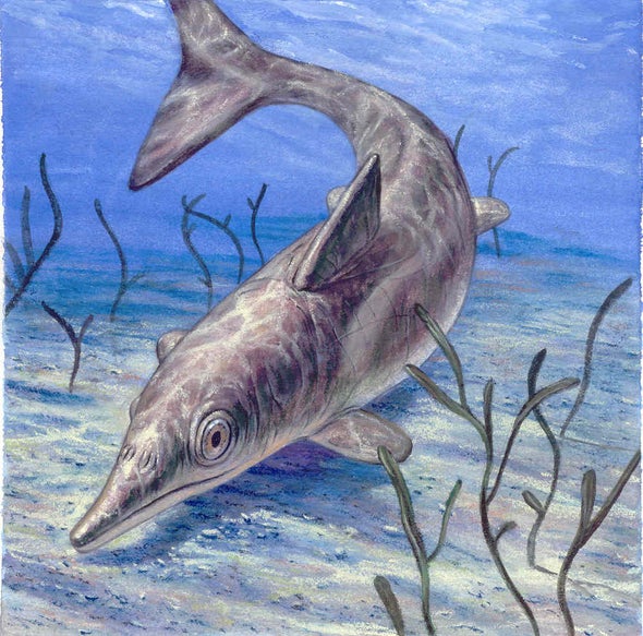 Ancient Marine Reptiles Had Familiar Gear
