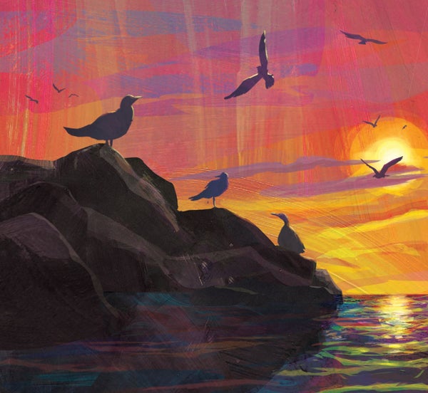 Illustration of seagulls sitting on a rock and seagulls flying against a pink and orange sunset.
