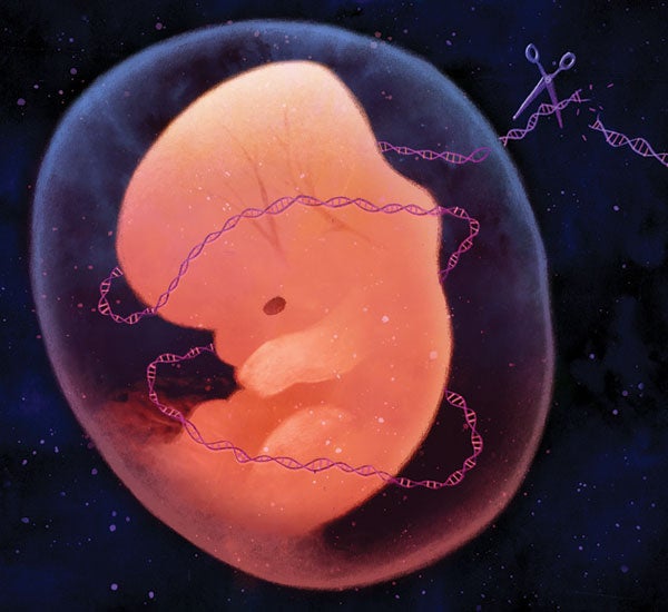 Customized Human Genes: New Promises and Perils | Scientific