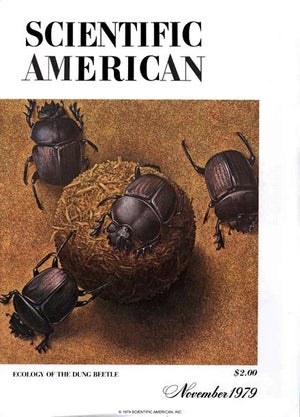 Scientific American Magazine Vol 241 Issue 5