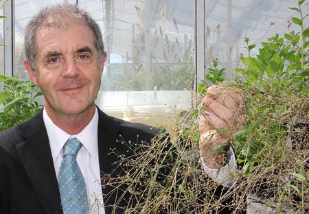 Scientific American Logo