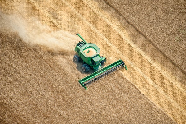 Aerial view of combine harvesting wheat