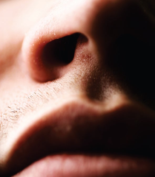Chemists Discover Why the Nose Is Hypersensitive to Sulfur Odors