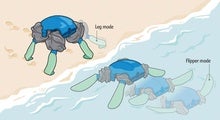 Mighty Morphin' Turtle Robot Goes Amphibious by Shifting Leg Shape
