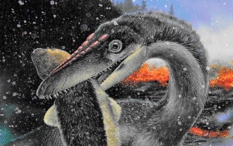 Feathers May Have Helped Dinosaurs Survive Their First Apocalypse