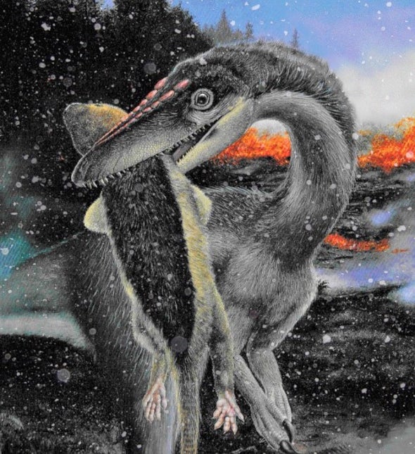 Feathers May Have Helped Dinosaurs Survive Their First Apocalypse
