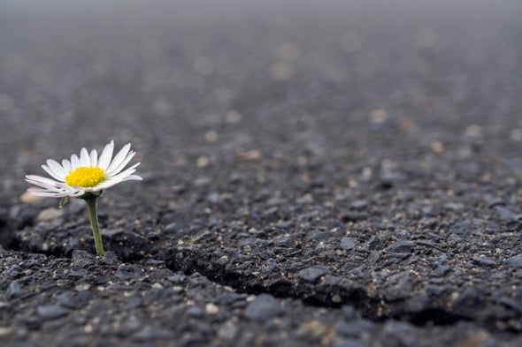 6 Ways to Build Your Resilience